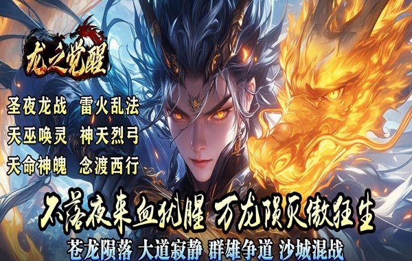 龙之觉醒（陨夜狂血多职业）